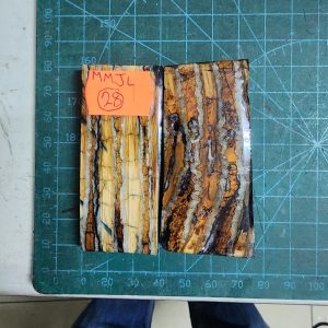 Mammoth Molar set - MMJL - 28