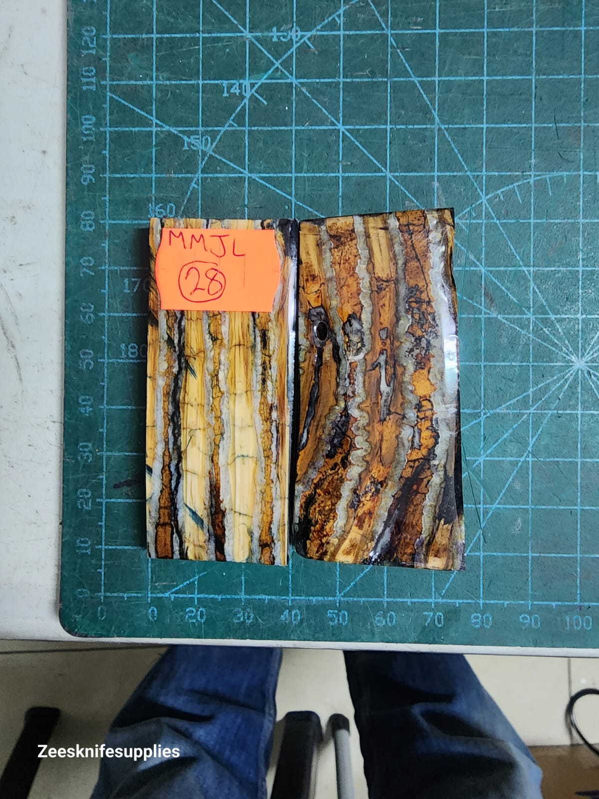 Mammoth Molar set - MMJL - 28