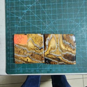 Mammoth Molar set - MMJL - 26