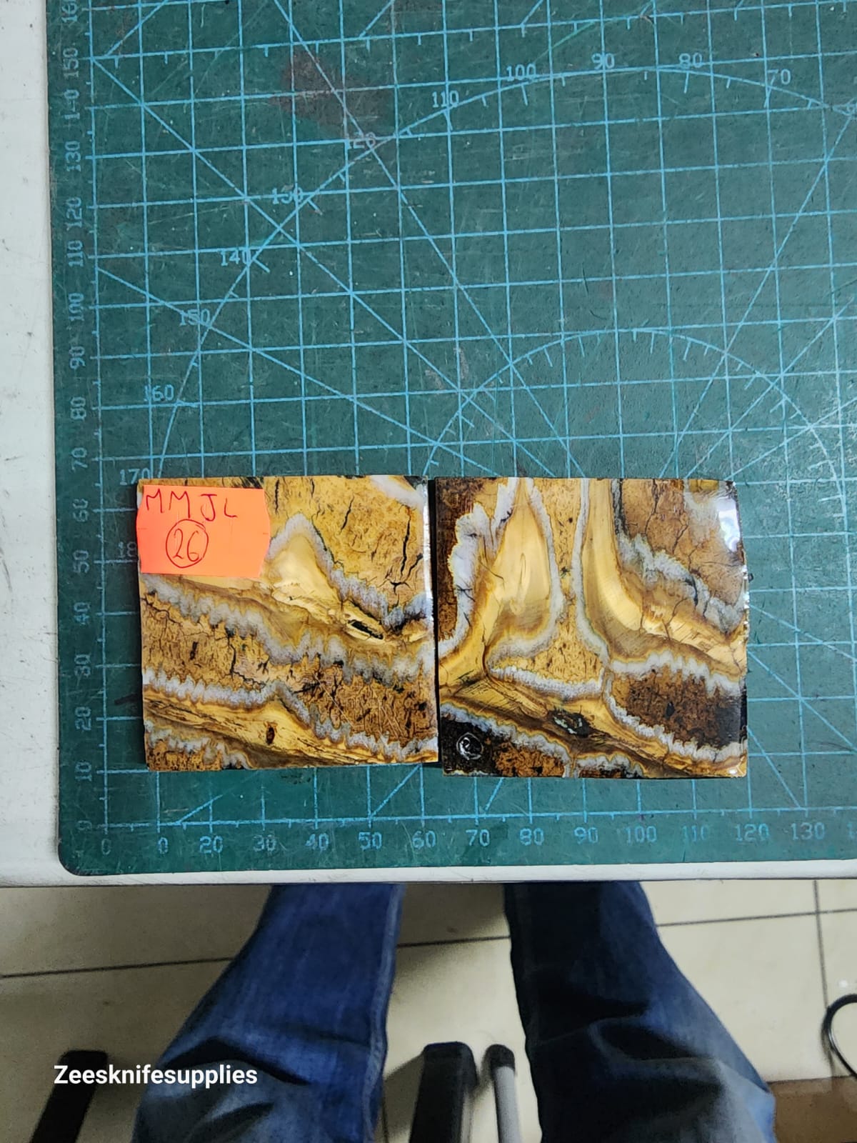 Mammoth Molar set - MMJL - 26