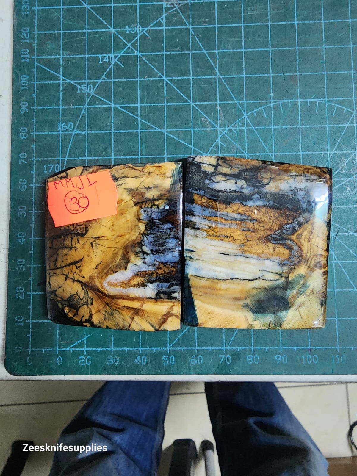 Mammoth Molar set - MMJL - 30