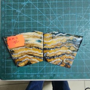 Mammoth Molar set - MMJL - 32