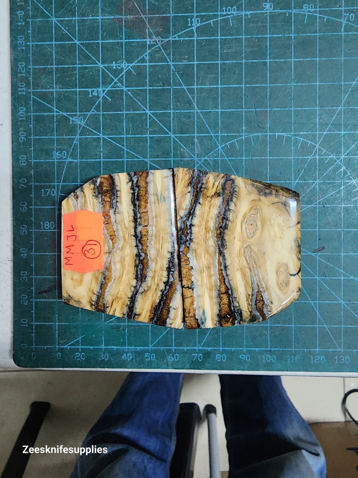 Mammoth Molar set - MMJL - 31