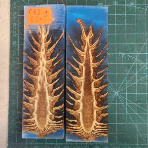 Pine Cone Resin Scale Set - P.R.J - 2