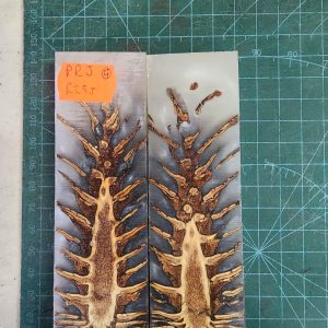 Pine Cone Resin Scale Set - P.R.J - 4