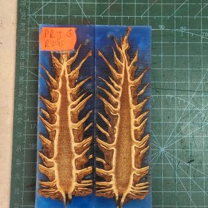 Pine Cone Resin Scale Set - P.R.J - 9
