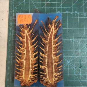 Pine Cone Resin Scale Set - P.R.J - 6
