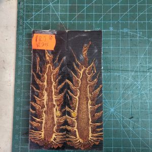 Pine Cone Resin Scale Set - P.R.J - 10