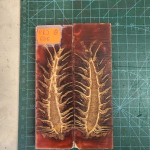Pine Cone Resin Scale Set - P.R.J - 12