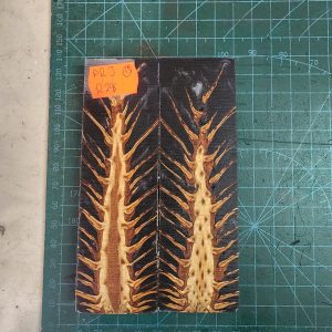 Pine Cone Resin Scale Set - P.R.J - 13