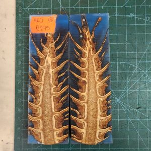 Pine Cone Resin Scale Set - P.R.J - 18