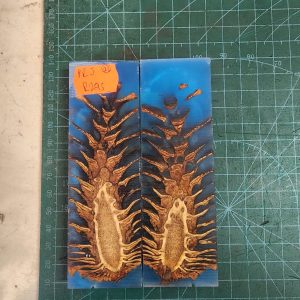 Pine Cone Resin Scale Set - P.R.J - 23