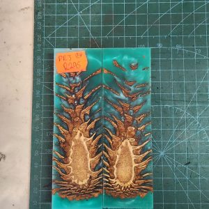 Pine Cone Resin Scale Set - P.R.J - 24