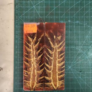 Pine Cone Resin Scale Set - P.R.J - 26