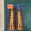 Pine Cone Resin Scale Set - P.R.J - 30