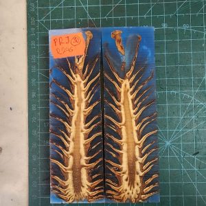 Pine Cone Resin Scale Set - P.R.J - 30