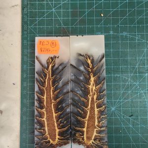 Pine Cone Resin Scale Set - P.R.J - 31