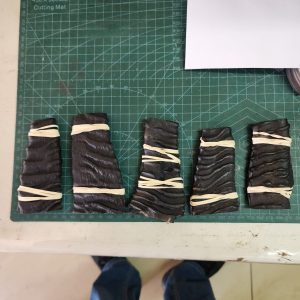 Sprinkbok Horn - Set