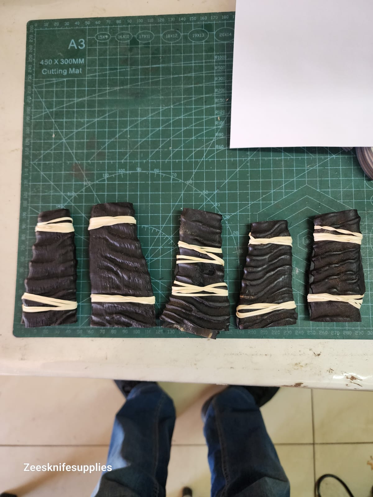 Sprinkbok Horn - Set