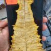Burl - Amboyna Resin Scale Set - A B R B - 1
