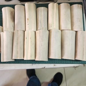 Giraffe Bone Uncut