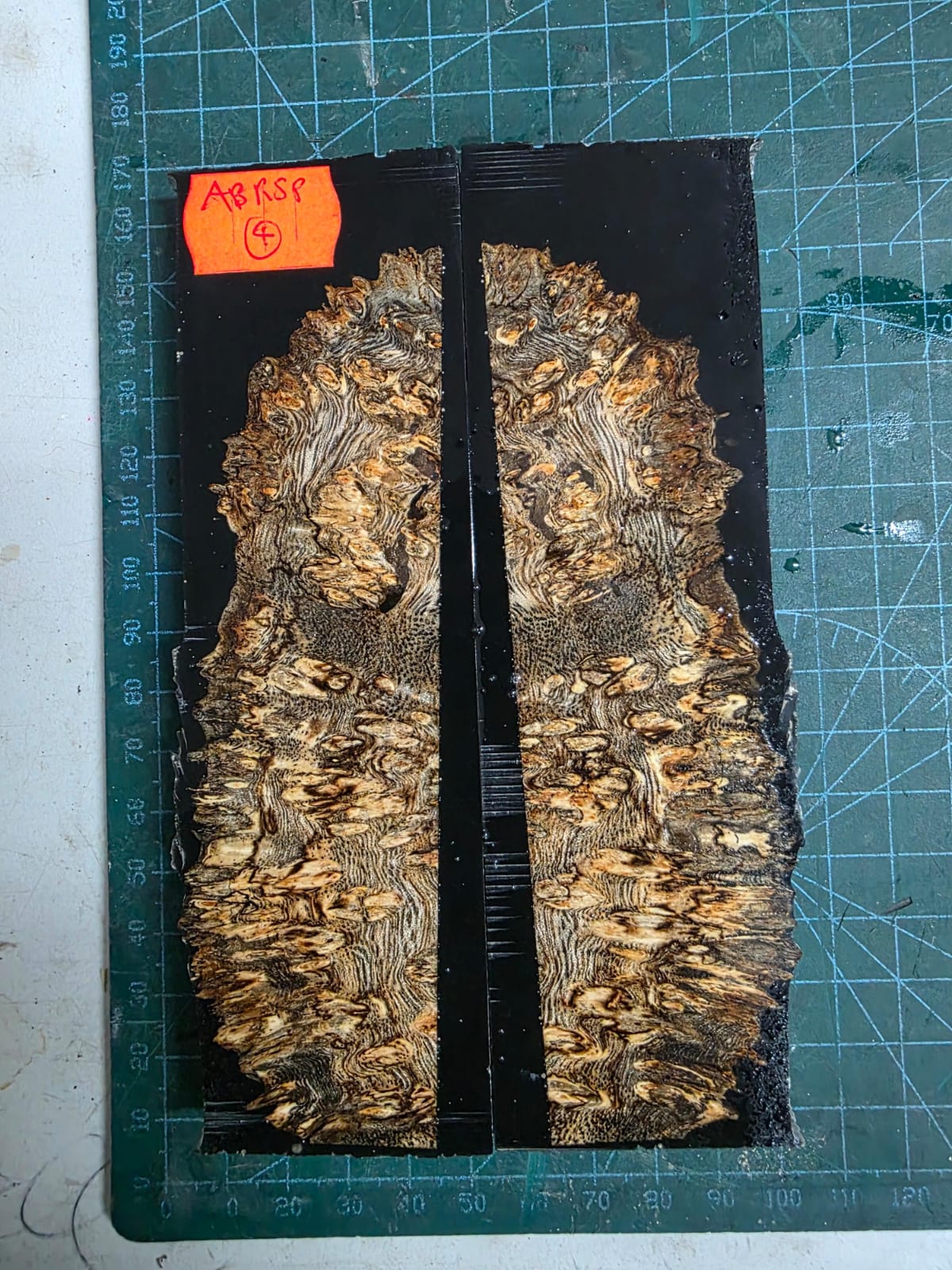 Burl - Amboyna Resin Scale Set - ABRSP - 4