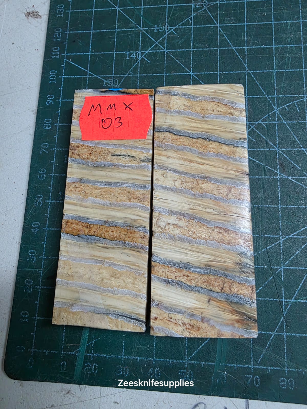 Mammoth Molar set - MMX - 3