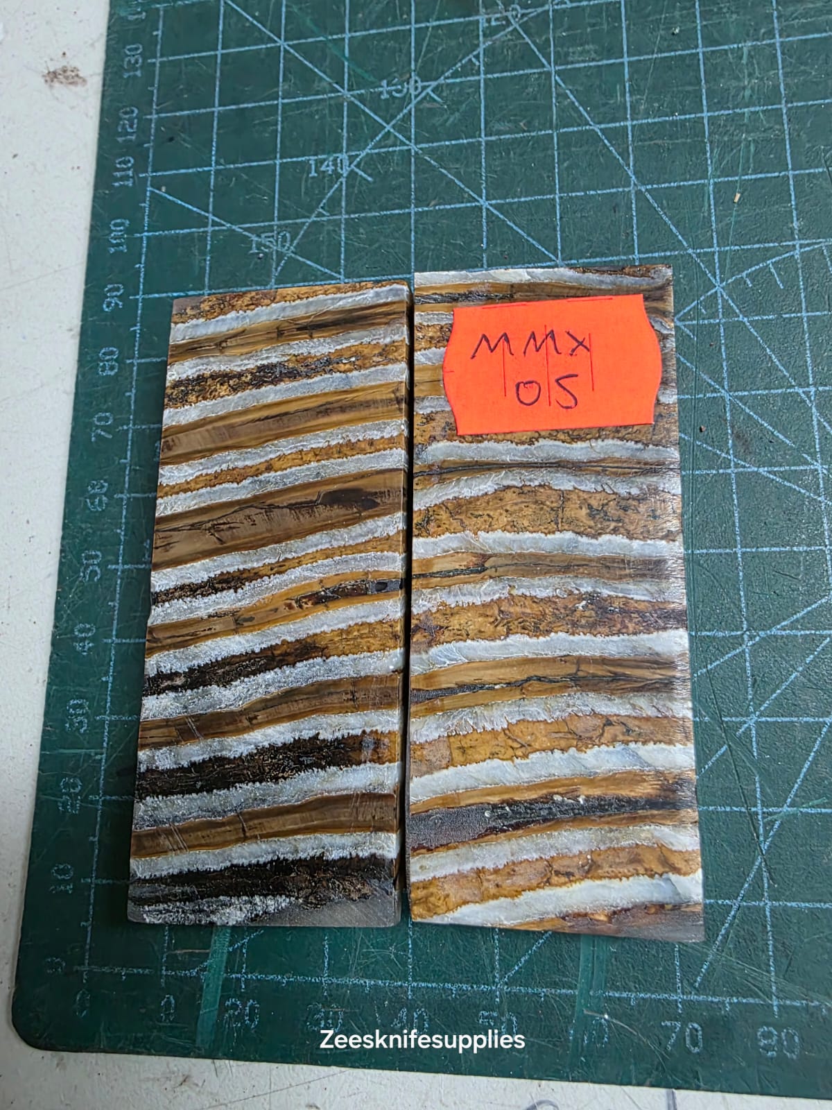 Mammoth Molar set - MMX - 5